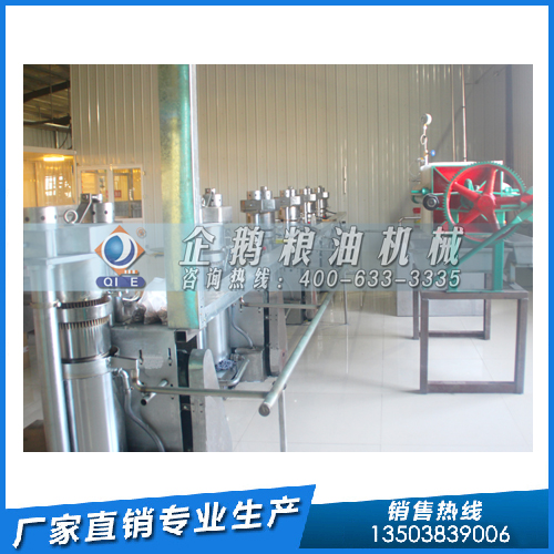 濃香菜籽油的加工，企鵝糧油機(jī)械自動溫控系統(tǒng)嚴(yán)格把控生產(chǎn)溫度